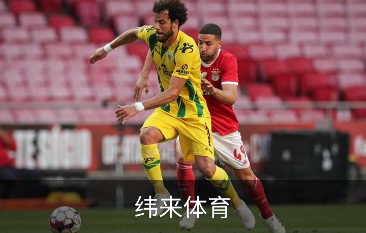 了解纬来体育